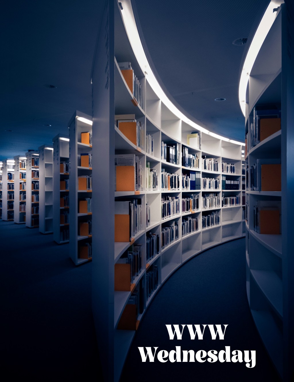 WWW Wednesday: March 13, 2024&nbsp;Edition